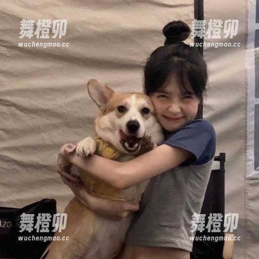 51cg.fun 坐稳了,丿丿51cg.fun的资源带你飞,直达瓜田深处!