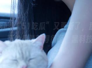 “51吃瓜”又更新了，那个入口，真的是隐蔽得很啊，黑科技？