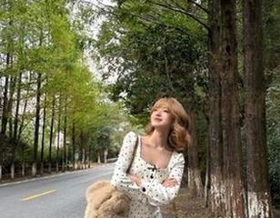 试着在“www51”网页探险，感觉如同掉进了一个巨大的松饼里，既美味又难以自拔啊。