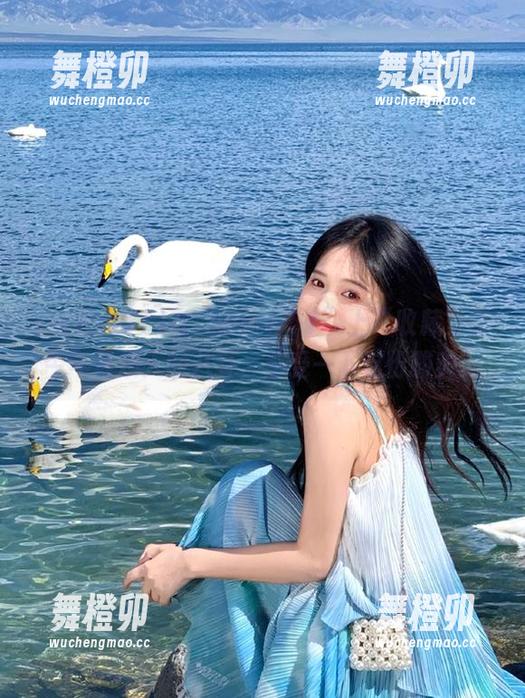 在“www51”上“收藏”了今年最烦人的八卦，感受一下这份酸爽。
