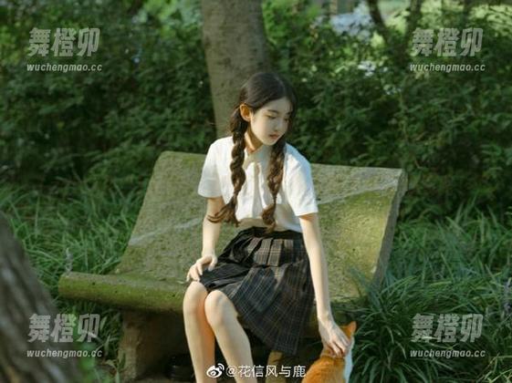 在“zztt”上溜达，意外发现了条奇妙线路！