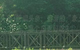 吃瓜头条：偏爱的“永久”炒作法，哪个瓜更好吃？