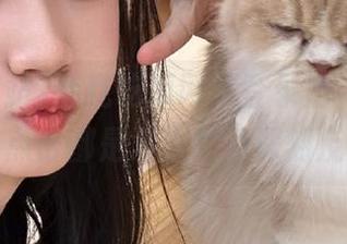 夸克吃瓜网站登录后，你的每一次点击都是对人性的深刻反思！