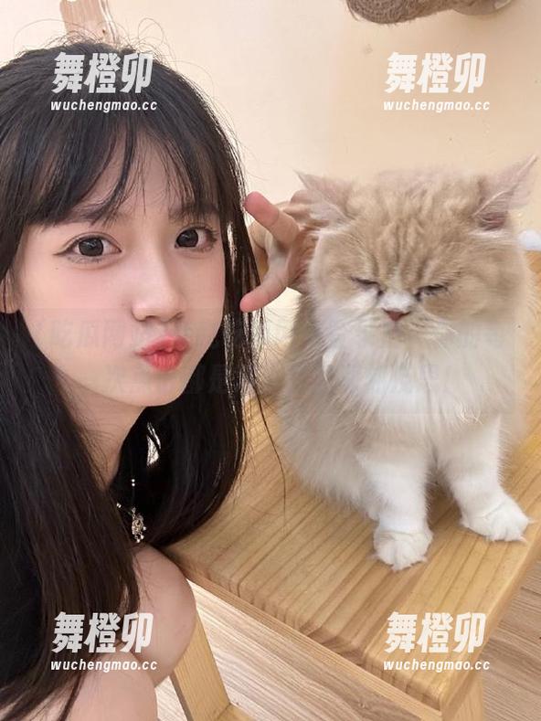 夸克吃瓜网站登录后，你的每一次点击都是对人性的深刻反思！