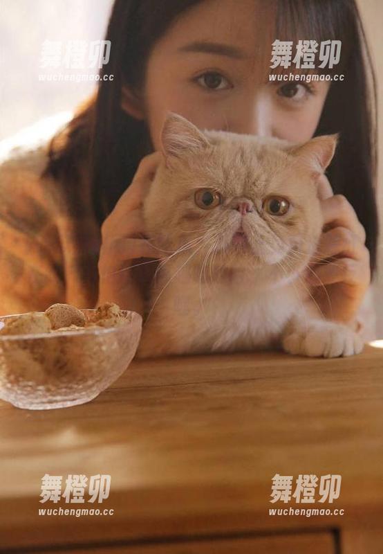 在吃瓜黑料网上免费追踪红在线，真怕这些瓜越吃越险，不小心被反噬。