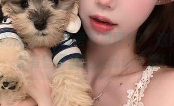 “我爱吃瓜网52”这网页里，总有些事情让人忍俊不禁！