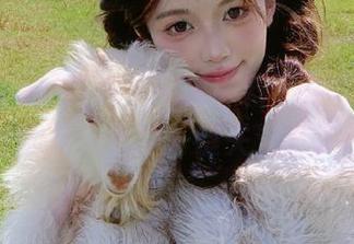 最近“网曝黑料”在安卓上不断翻新，干脆一键关注算了！