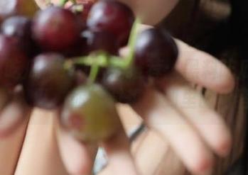 本周推荐：黑料吃瓜网址免费入口，你绝对想不到里的内容！